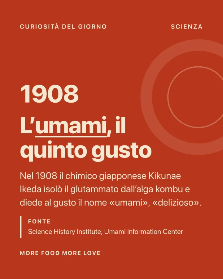 Grafica Instagram «L'umami, il quinto gusto» su fondo rosso.